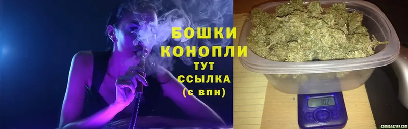 Каннабис Bruce Banner  Лобня 